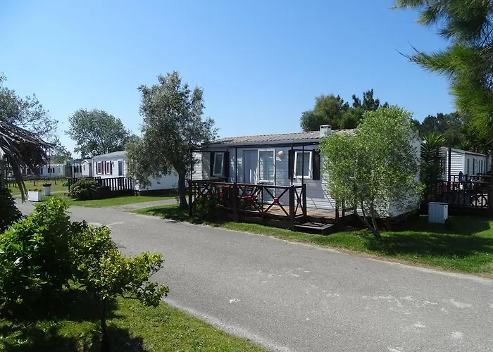 Cloud Nine * Pataias