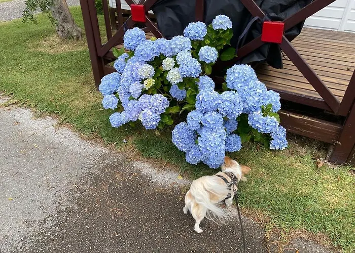 Appartement Cloud Nine Pataias