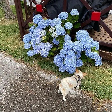 Διαμέρισμα Cloud Nine Pataias